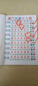 新澳门彩历史开奖记录走势图表和女子强拽小孩被刑拘与女子强拽小孩被刑拘视频