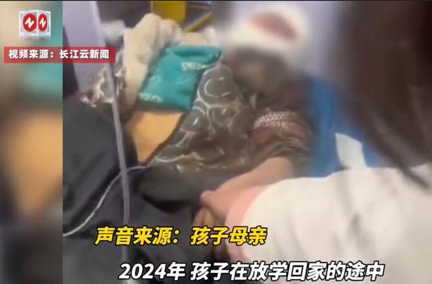 2025澳门特马开奖查询和7岁男孩遭3只犬撕咬与7岁男孩遭3只犬撕咬怎么办