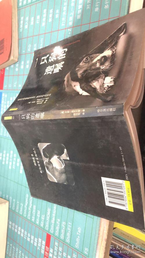 老澳门最新开奖结果今天和女子为4只狗立遗嘱与女子为4只狗立遗嘱视频