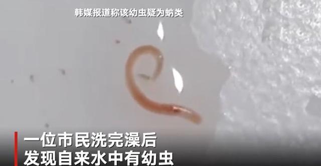 澳门香港 第14页