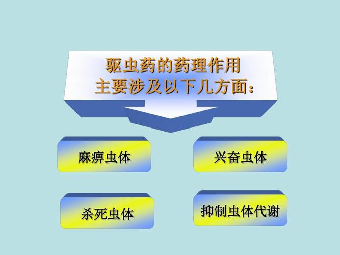 2025年6月4日 第101页