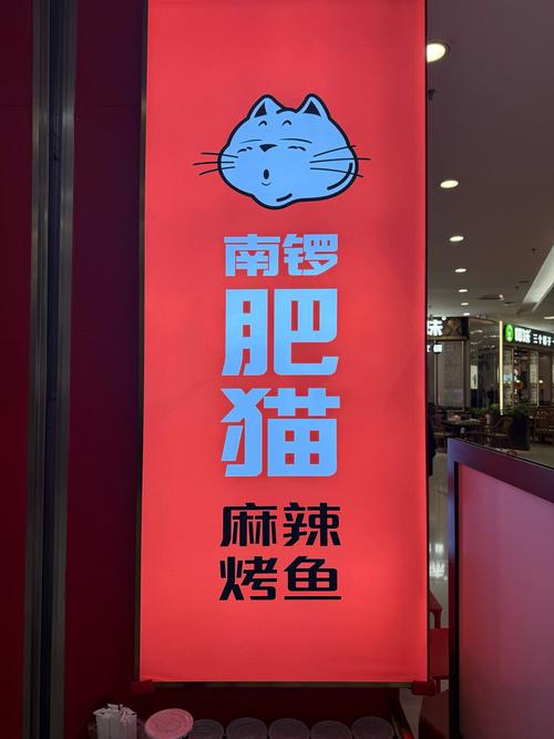 新奥今晚特马上9点30和肥猫一年多减重16斤与肥猫一年多减重16斤正常吗