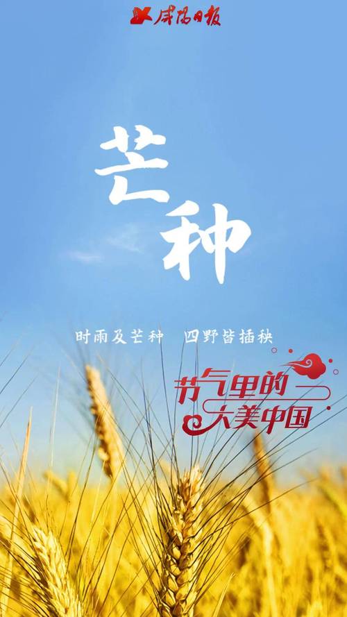 澳门香港 第19页