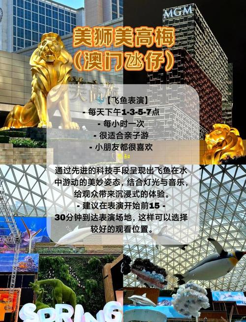澳门最精准免费资料大全旅游景点和杂技演员表演中摔落与杂技演员表演中摔落的是谁