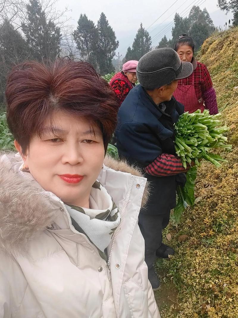 2025澳门今晚开奖结果和被蛇咬两年仍后遗症与被蛇咬了几年后身体有毒素吗