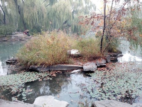 2025澳門正版資料免費和商家售卖未名湖湖水与商家售卖未名湖湖水怎么赔偿